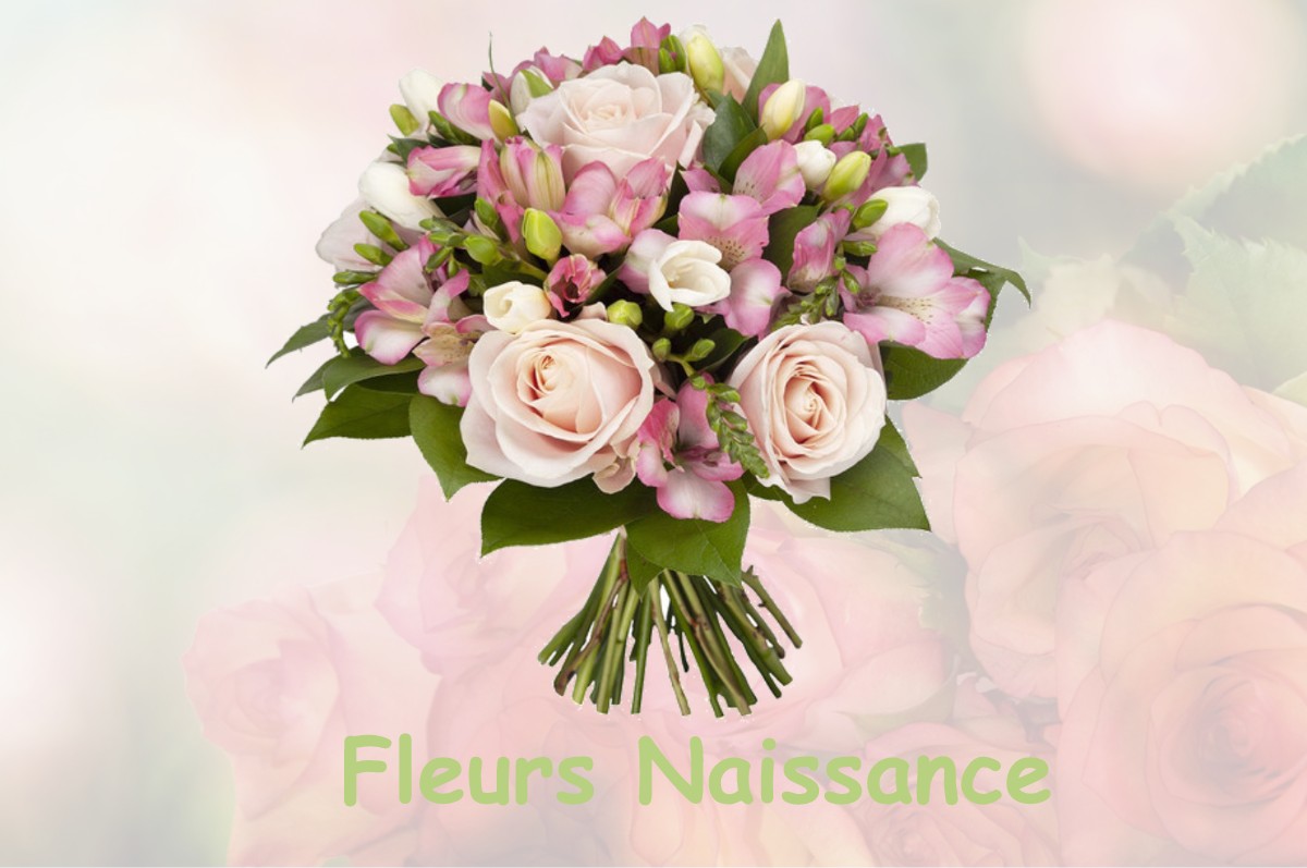 fleurs naissance COURCELLES-SUR-AIRE