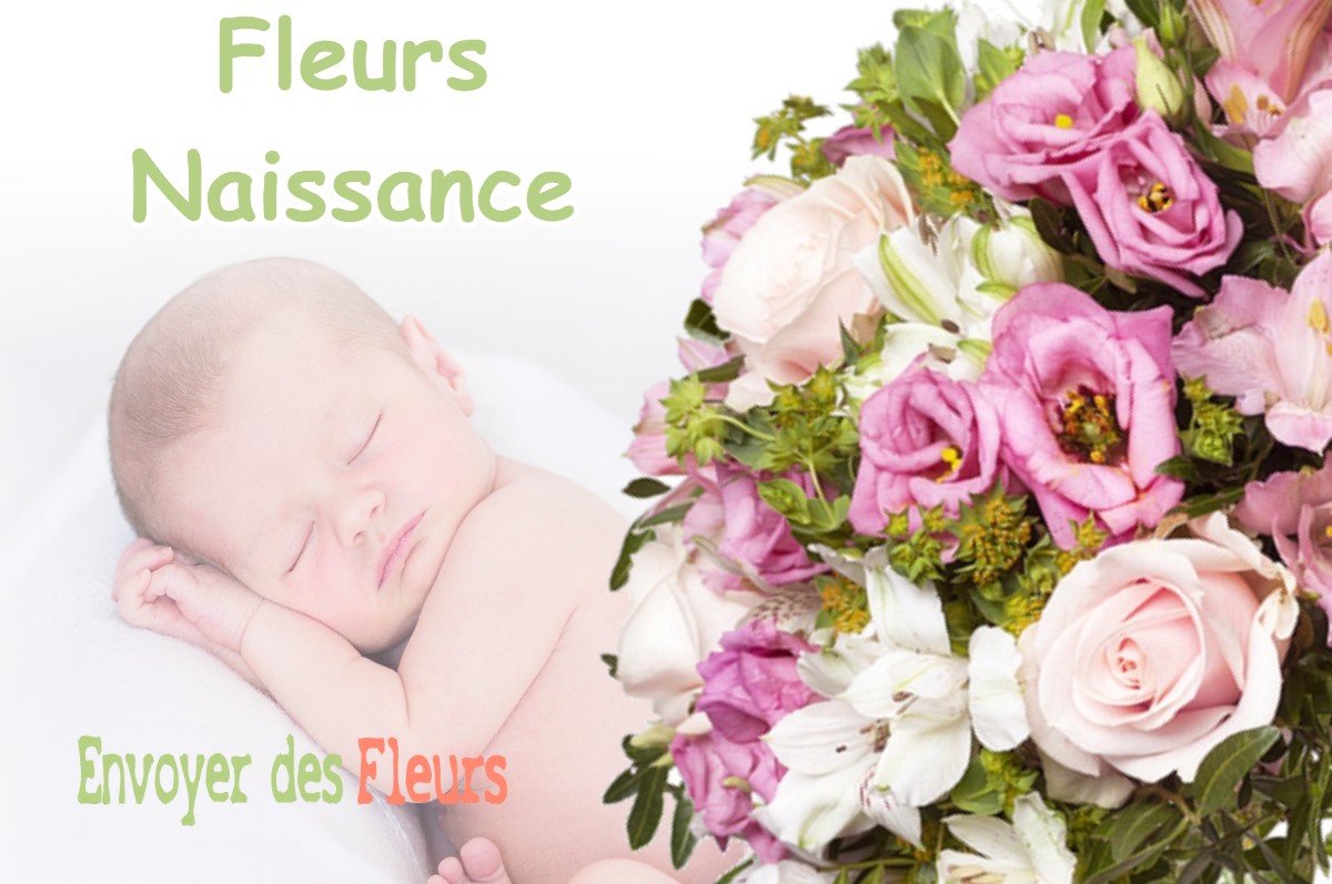 lIVRAISON FLEURS NAISSANCE à COURCELLES-SUR-AIRE